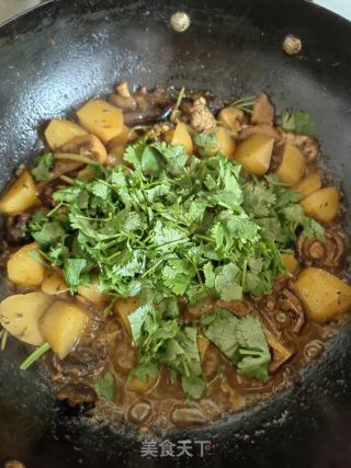 喷鼻菜土豆烧牛肉的做法步调：13