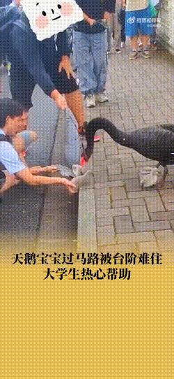 s1LI5iDflb1l9L95.jpg s1LI5iDflb1l9L95.jpg