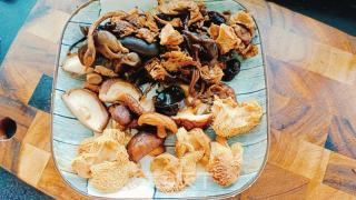 小鸡炖蘑菇的做法步调：10