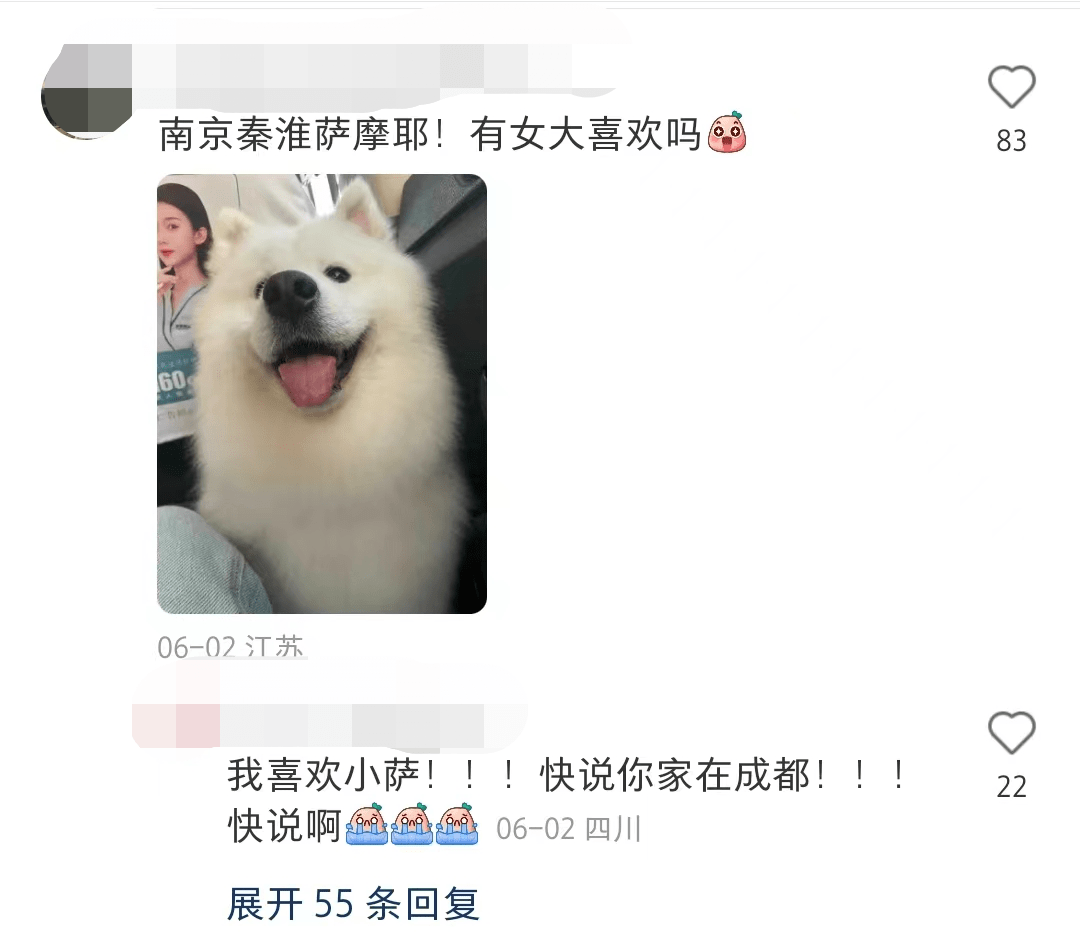 MtF9O59kH295jl5K.jpg