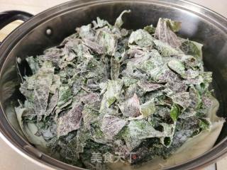 蒸紫苏叶的做法步调：7