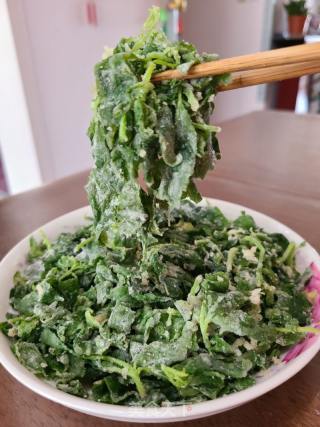 蒸十喷鼻菜的做法步调：15