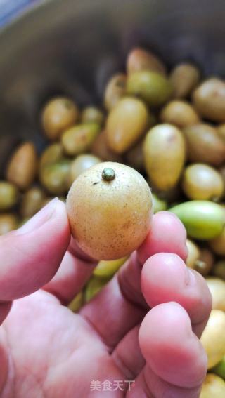 腌造黄皮果的做法步调：2