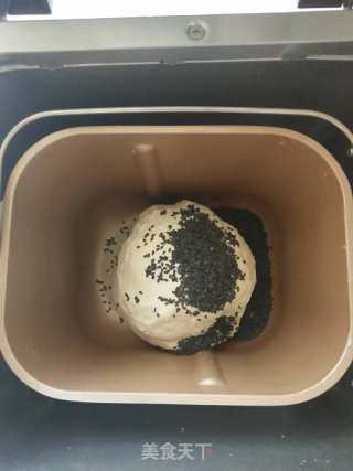 乌芝麻白豆硬欧的做法步调：4