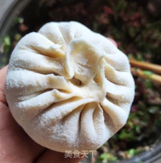 洋葱喷鼻菜牛肉包子的做法步调：8