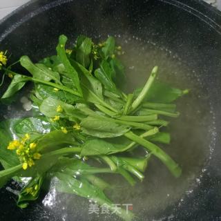 对虾炒菜芯的做法步调：2