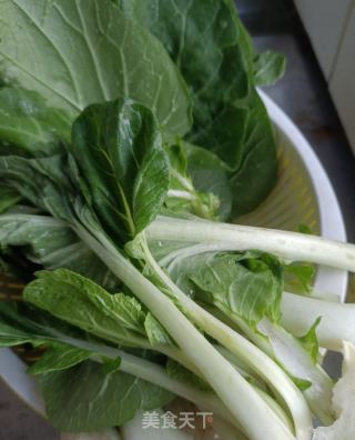 青菜炸肉炖粉条的做法步调：2