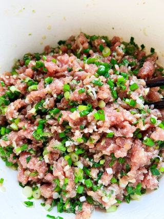 喷鼻葱肉包子的做法步调：4