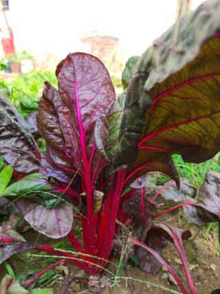 洋葱木耳炒白色莙荙菜的做法步调：1