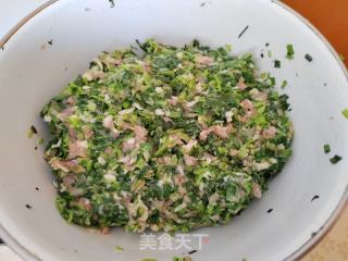 油菜猪肉麦饼的做法步调：4
