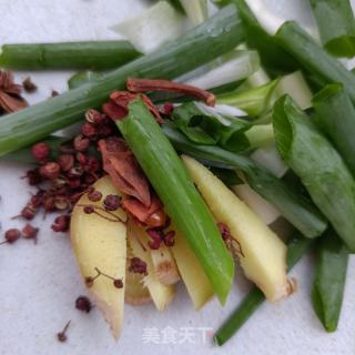 浑炖牛蝎子的做法步调：4