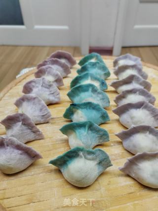 彩色三陈饺子的做法步调：12