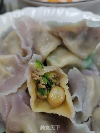 彩色三陈饺子的做法步调：16